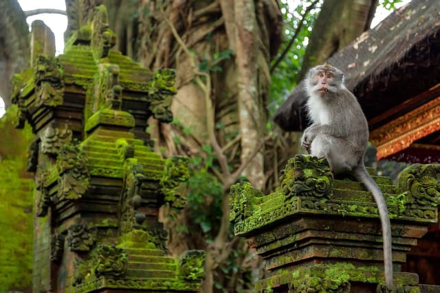 Bali - Image 3