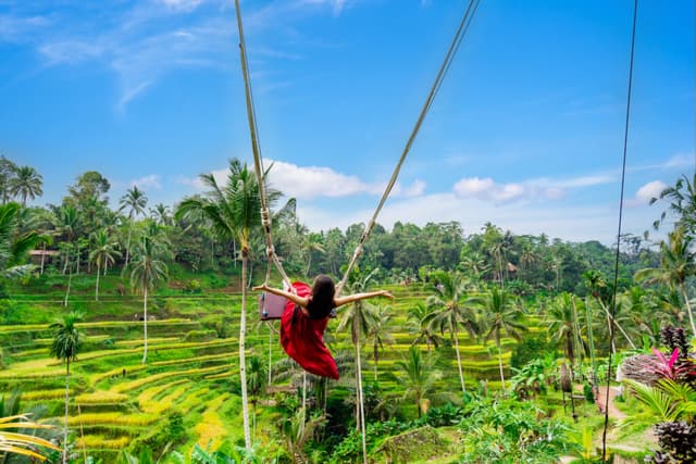 Bali - Image 3