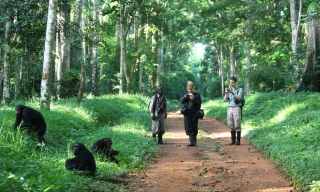 Uganda i Ruanda - Image 1